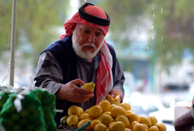 Al Ain Sightseeing Tour Abu Dhabi